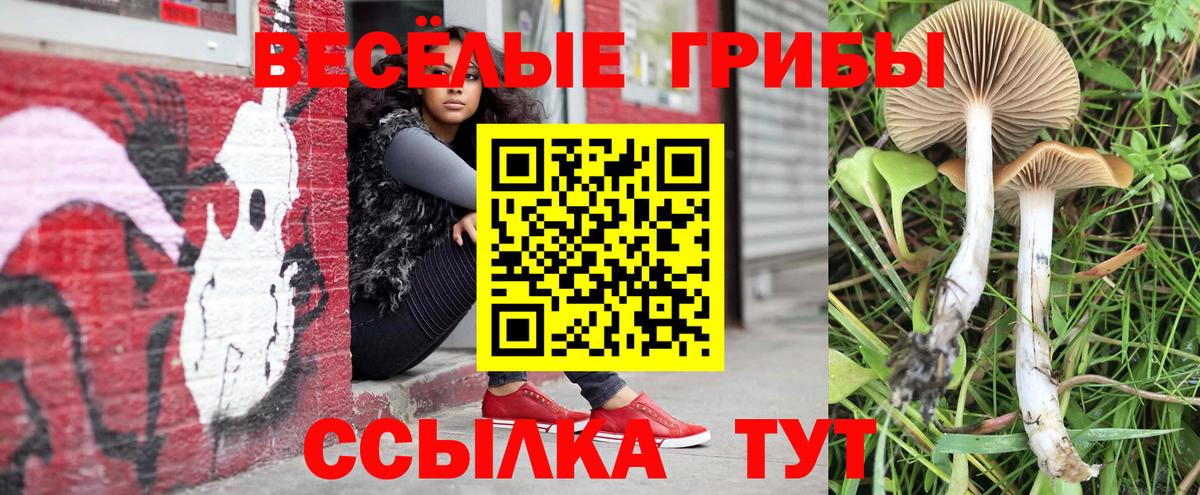 Галлюциногенные грибы ЛСД  Псилоцибиновые грибы Psilocybe  Вход с VPN  где найти   Моздок 